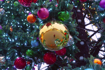 Illuminated Christmas decorations and tree at main square in Warsaw, Poland during winter evening