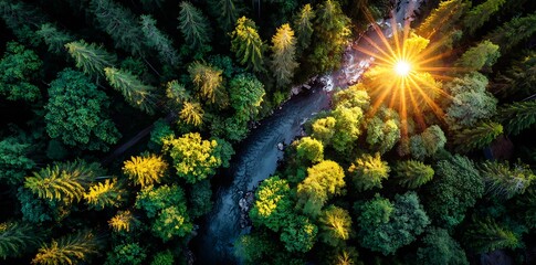 Green beautiful amazonian jungle landscape with trees and river, drone view