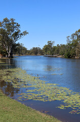 Tranquil view of Hoods Lagoon with calm water, lily pads and tall trees in Clermont, Queensland, Australia