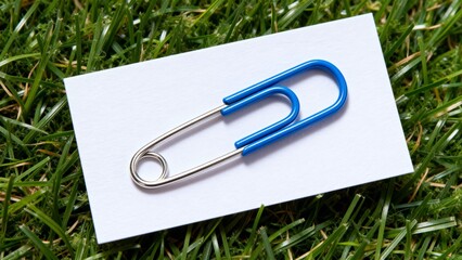Paperclip on Grass
