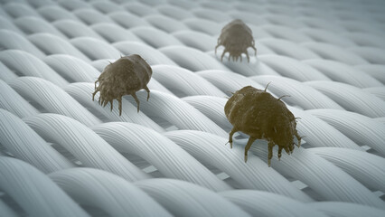 Microscopic view of fabric fiber with Dust mite, Fabric hygiene concept, 3D rendering