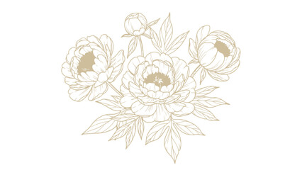 Elegant Outline Drawing of a Peony Flower Bouquet.