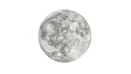 Grayscale image of the moon