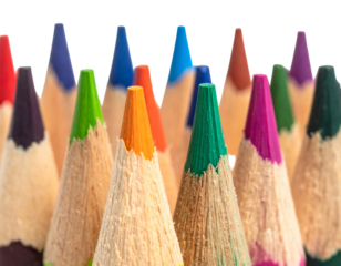 A close-up showcases a vibrant collection of sharpened, multicolored pencils with their tips pointing upwards, revealing the textured wood