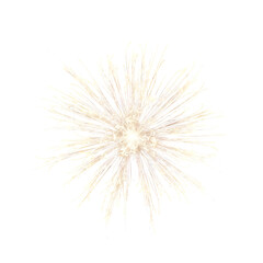 Delicate Beige Floral Bloom Centerpiece.