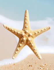 Starfish on beach