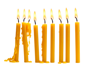 A close-up shows eleven burning, yellow candles with flickering flames and melting wax against a transparent background