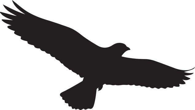 silhouette of eagle Eagle Silhouette and Colorful Kites Illustration

Freedom Concept Bird and Kites Vector Art