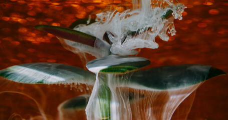 Blur smoke fluid. Succulent blob. White ink spill on green plant leaves. Nature art shimmering water red glow abstract color background.