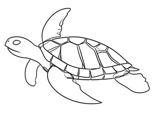 Black and white line art depicts a sea turtle with its flippers extended, floating. The segmented shell is visible
