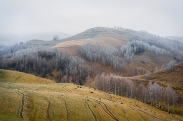 Misty winter landscape with trees on hillside and foggy sky.