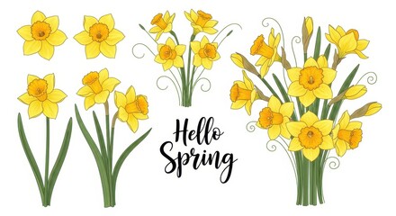 Vibrant Daffodil Collection Depicting the Essence of Spring Season with Isolated Elements