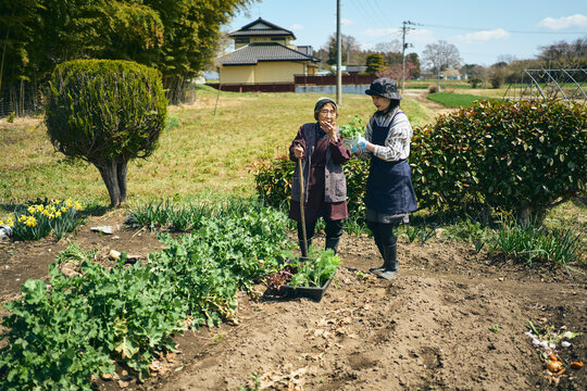 家庭菜園で会話をしながら作業をする
女性達