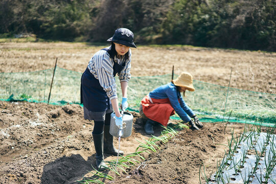 畑で鍬を使って作業する女性達