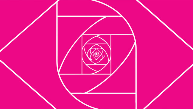 Abstract geometrical composition featuring the fibonacci sequence in vibrant pink and white color scheme.
