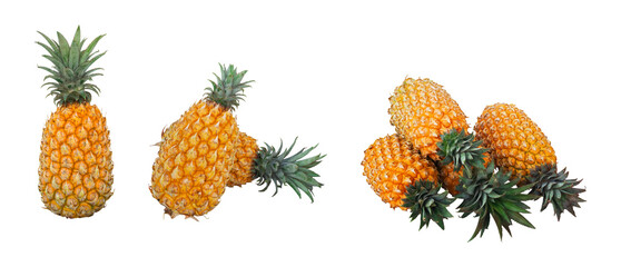 collection of pineapple on a white background isolated
