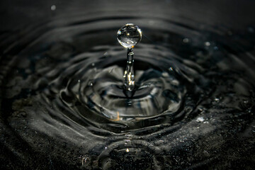 macro capture of a water droplet rising from a narrow column, forming concentric ripples on a dark, reflective surface. Ideal for science, nature, and beautiful visuals