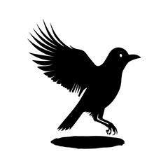 Fototapeta premium Silhouette of a bird with wings outstretched landing gracefully on a flat surface with its legs extended, capturing moment of descent and arrival