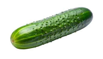 Isolated, freshly harvested, green cucumber with textured skin against a black background