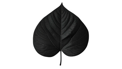 A monochromatic image of a large, heart-shaped leaf on a black background