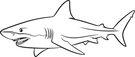 Obraz premium Black and white of a shark animal fish ocean