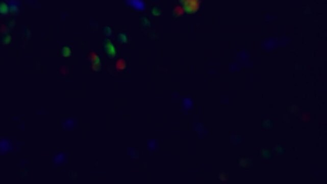 multicolored bokeh light in the night