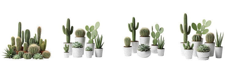 Set of Potted Cactus and Succulent Arrangements, Transparent Background, PNG, Oil Paint