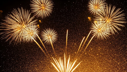 Fireworks display against dark night sky