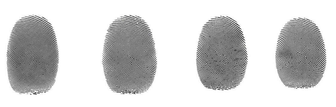 Set of Realistic Grey Thumbprints and Fingerprint Texture Illustrations, Transparent Background, PNG, Oil Paint