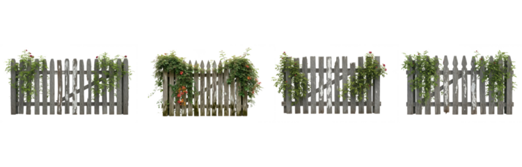 Set of Rustic Wooden Picket Fences with Climbing Vines and Flowers, Transparent Background, PNG, Oil Paint