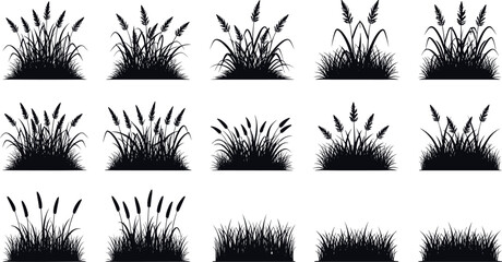 Grass and Plant Silhouette Vector Set Featuring Wild Meadow Vegetation, Botanical Ground Cover, Nature Landscaping Elements and Black Decorative Shapes © MstNazma