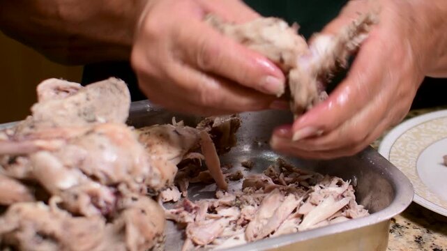 Close-up of woman's hands shredding cooked chicken to prep for a home made meal.