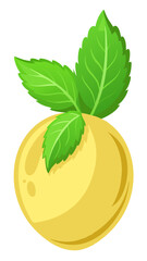 vector illustration of a lemon