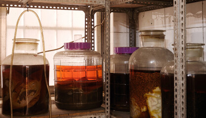 Close-up of traditional Chinese homemade medicinal wine in a glass jar.