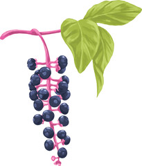 Pokeberry Botanical Painting Wild Berry Botanical Art