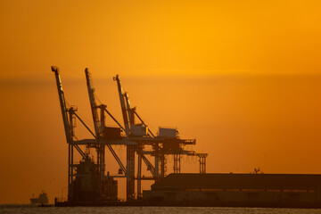 朝日を浴びるガントリークレーンのキリンたち20251116