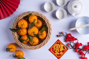Lunar New Year Celebration with Traditional Elements
