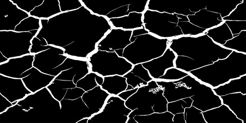 Fototapeta premium Abstract white cracked vein pattern on deep black background, organic branching texture resembling dried earth or lightning, high contrast, minimal, clean studio lighting, seamless, Adobe Stock qualit