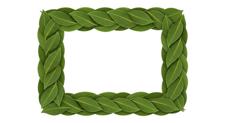 Rectangular frame made of green leaves isolated on transparent background