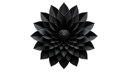 Dark, symmetrical, multi-layered floral design against black background
