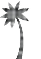 A lone palm tree stands tall against a clear sky, its silhouette a simple yet striking illustration.