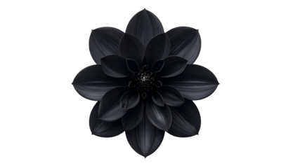 A black, symmetrical dahlia flower against a dark void, centered