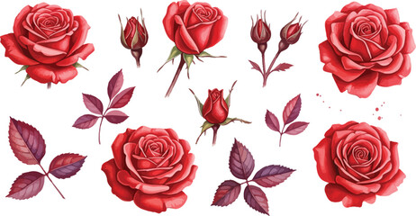 Seamless floral pattern set featuring beautiful red rose blossoms and green leaves for a romantic nature inspired Valentine gift vector