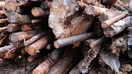 Logs are piled together in a construction area during daylight hours. The scene shows various sizes of wood ready for use in building or other purposes.