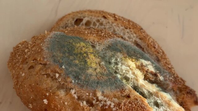 Moldy bread slice with visible green and yellow spots on white background