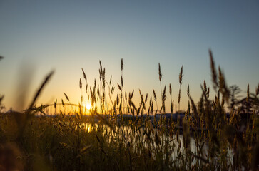 綺麗な夕焼けの川の風景
