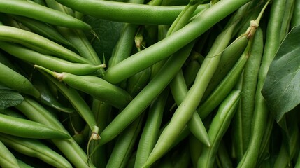 Fototapeta premium Fresh green beans arranged beautifully, showcasing vibrant colors and textures
