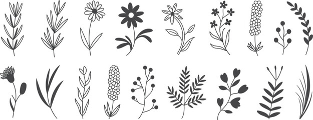 Set of hand drawn botanical silhouettes, featuring various wild flowers, leaves, and garden floral elements © Majnur