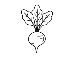 Line drawing of a radish with leaves, on a white background