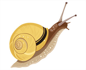 A colorful illustration of a snail with a striped spiraled shell © Ismail Hossain
